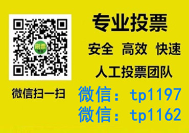 上海市微信手动投票费多少钱让我告诉你微信投了多少